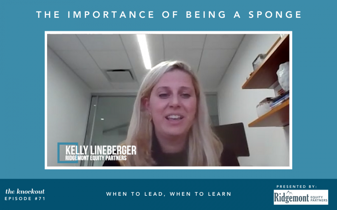 When to Lead, When to Learn